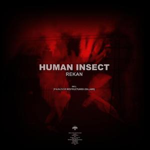 Rekan (P.A.N.Z.E.R Restructured Mix)