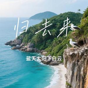 归去来 (Cover 王筝)