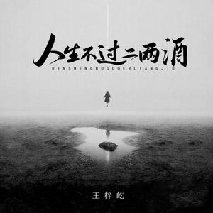 人生不过二两酒 (伴奏)