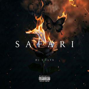 SAFARI