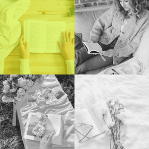 一尘不染图书印象数