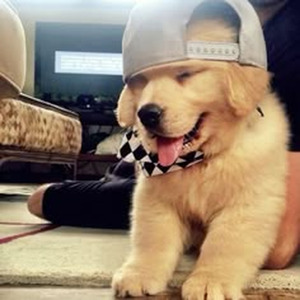 Chanel No.5 (slowed)