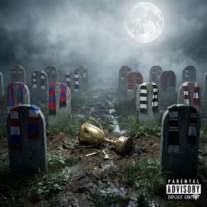 Tottenham: Cobwebs & Dust