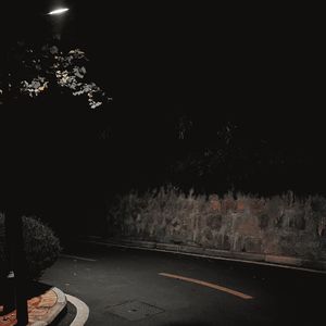 路灯照不出我的