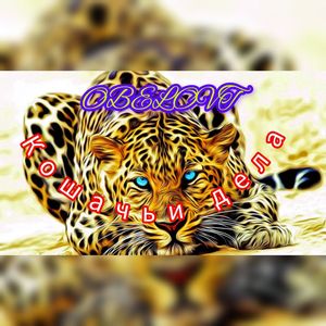 Кошачьи дела