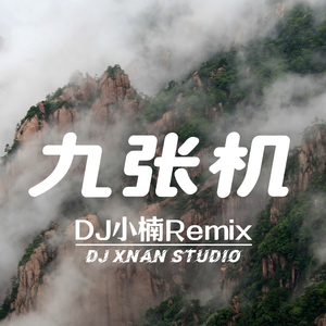 九张机(DJ小楠Remix)