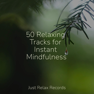 Endless Euphoric Journey