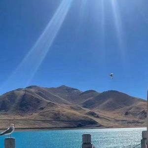 在未来的旅途中