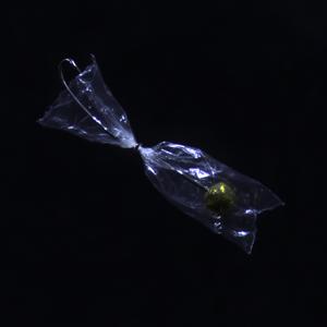 Compliments in Cellophane