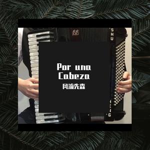 【手风琴】一步之遥 - Por una Cabeza