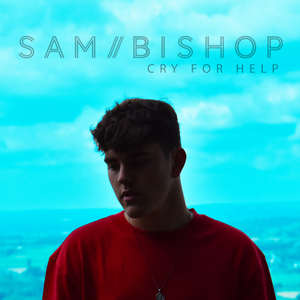 Cry for Help