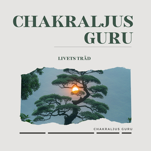 Harmonisk Resonans Vid 528 Hz, Släppa Negativa Känslor