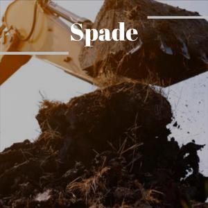 Spade
