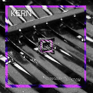 IF WE STAND (feat. 4em Dimension) (KERN Remix)