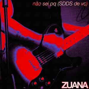 Não Sei Pq (Sdds de Vc)