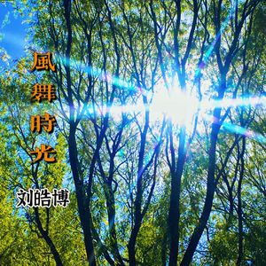 风舞时光