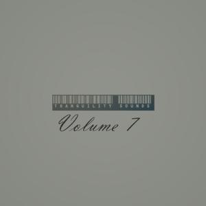 Modular (Full Version)