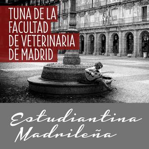 Estudiantina Madrileña