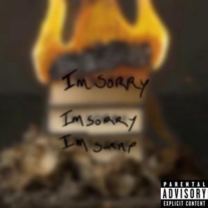 Apology Letters
