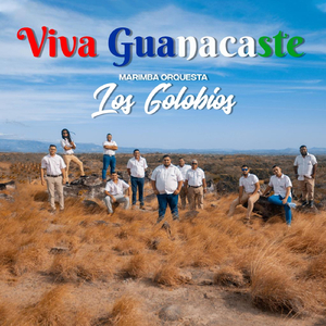 Algarabía Con los Golobios