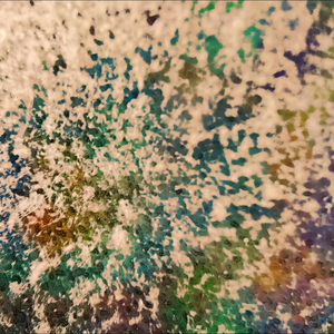 Drunk Shark in the Shack