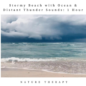 Stormy Beach with Ocean & Distant Thunder Sounds: One Hour