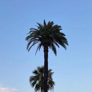 Goodbyes (DJ Patrick Remix)