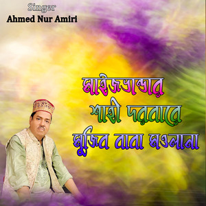 মাইজভান্ডার শাহী দরবারে মুজিব বাবা মওলানা