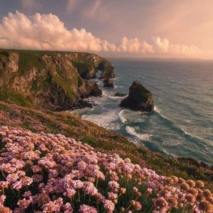 My shawty （prod by Royalboi）