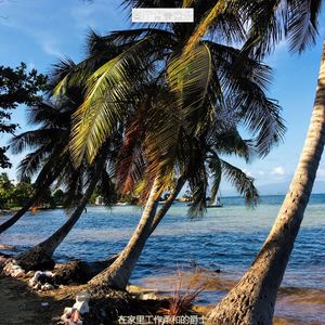 适合在家里工作轻快的音乐