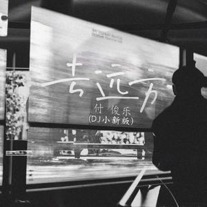 去远方 (DJ小新版)