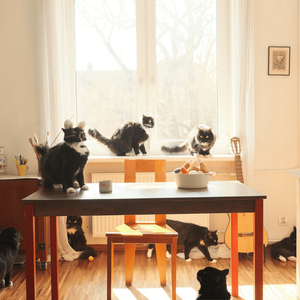 Karai Maki Without Crab Meat