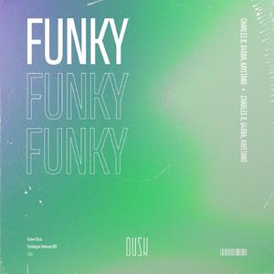 Funky (Extended Mix)