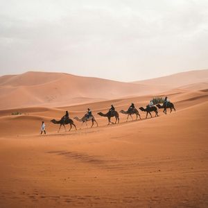 中东沙漠 异域风情 （游戏配乐）