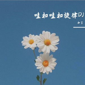 哇扣哇扣旋律DJ