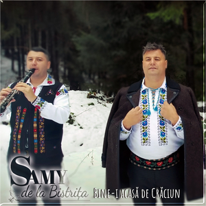 Bine-I Acasă De Crăciun