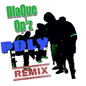 P.D.L.Y. THE REINCARNATION (remix) (remix)