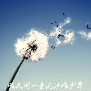 叹人间一去风流唯少年 (伤感版)