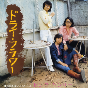 ドライ・フラワー