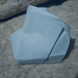 生身声(riot Remix)