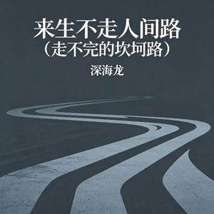 来生不走人间路(走不完的坎坷路)