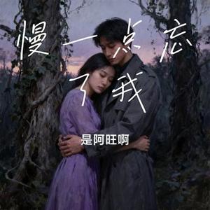 慢一点忘了我
