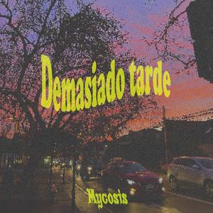 Demasiado tarde