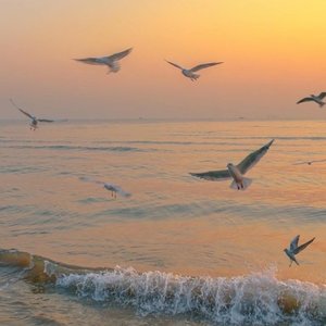 意外（合唱版）