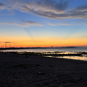 思绪飘向远方.wav