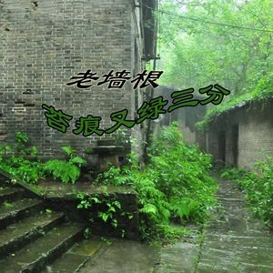 老墙根苔痕又绿三分