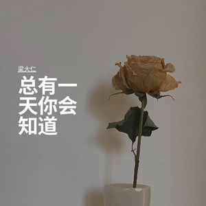 总有一天你会知道