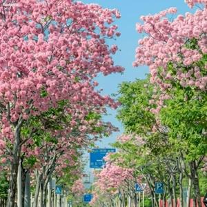 When the Night Calls You