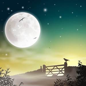 【彩云追月】古筝重奏（翻自 谭维维）