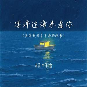 漂洋过海来看你(为你我用了半年的积蓄)
